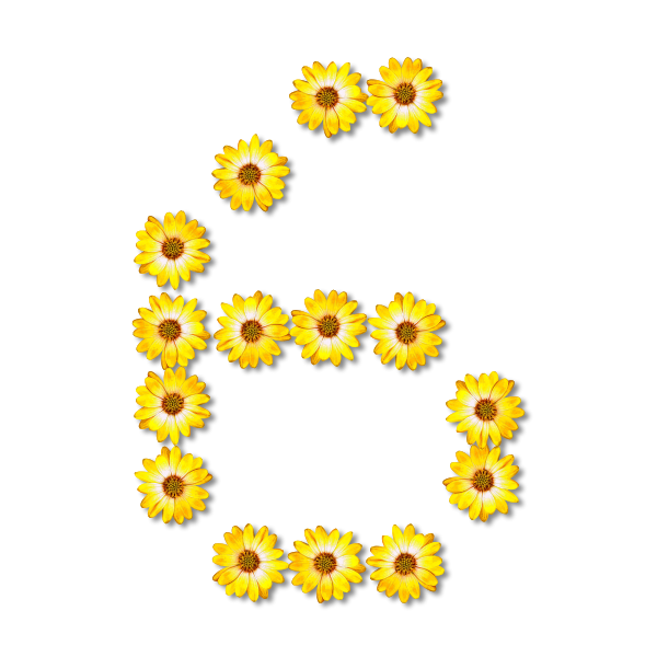 SVG Floral number 6