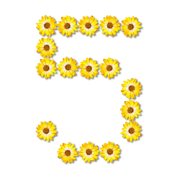 SVG Floral number five