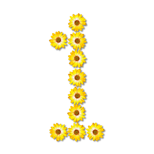 SVG Floral numeral