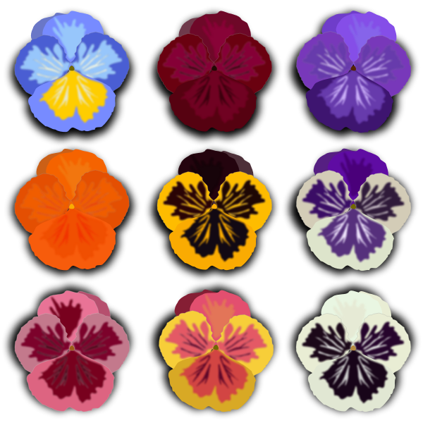 SVG flower 06 amor perfeito