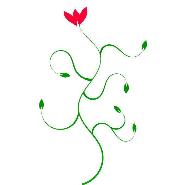 SVG Flower plant vector image