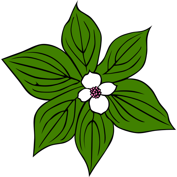 SVG Flower with green leaves vector art