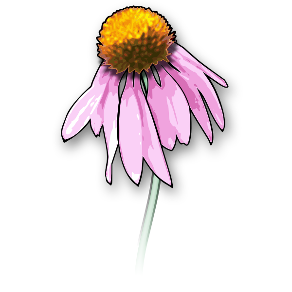 SVG Flower2
