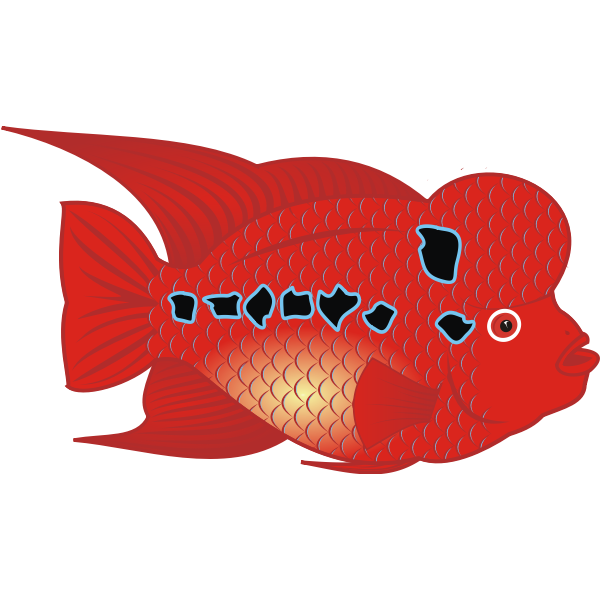 SVG Flowerhorn Fish Vector