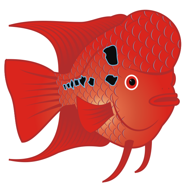 SVG Flowerhorn Fish Vector Image