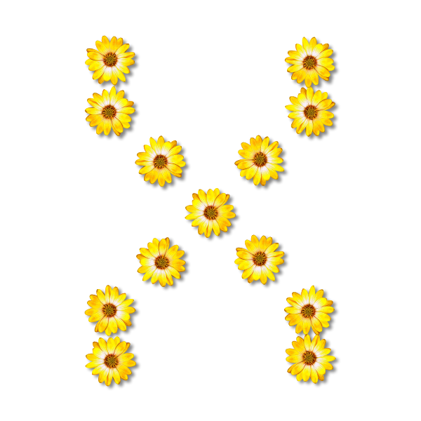 SVG Flowers forming X