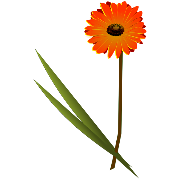 SVG flowers gerbera