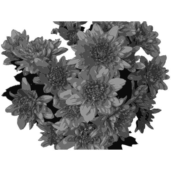SVG Flowers in greyscale