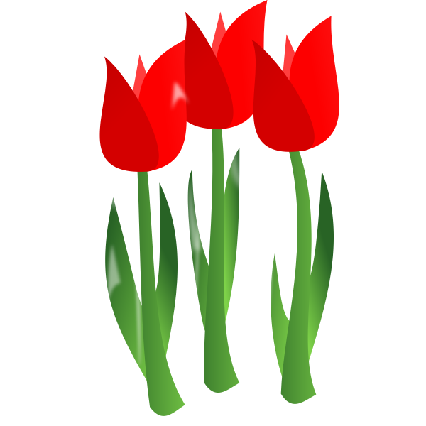 SVG Flowers ns