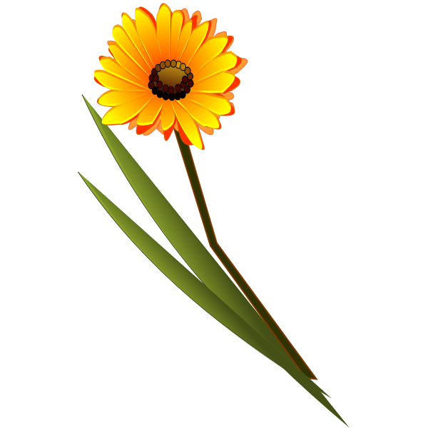 SVG flowersgerbera