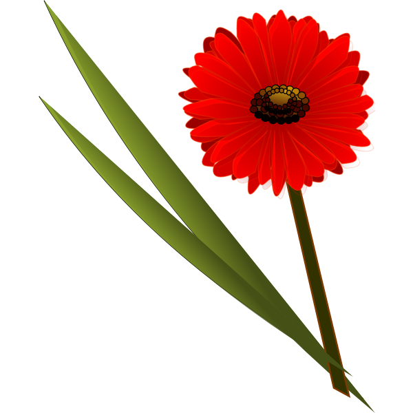SVG flowersgerbera