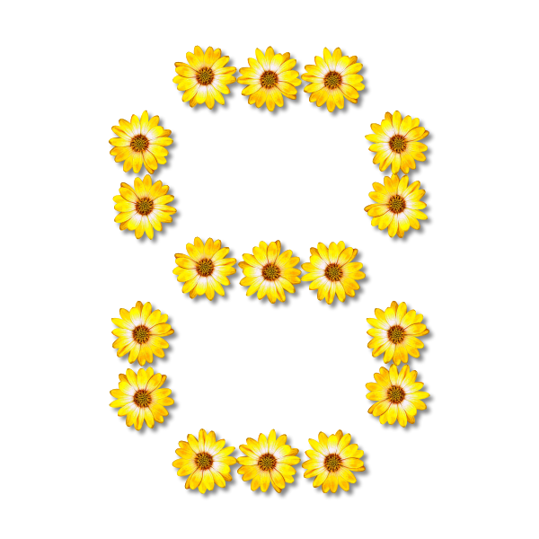 SVG Flowery number eight