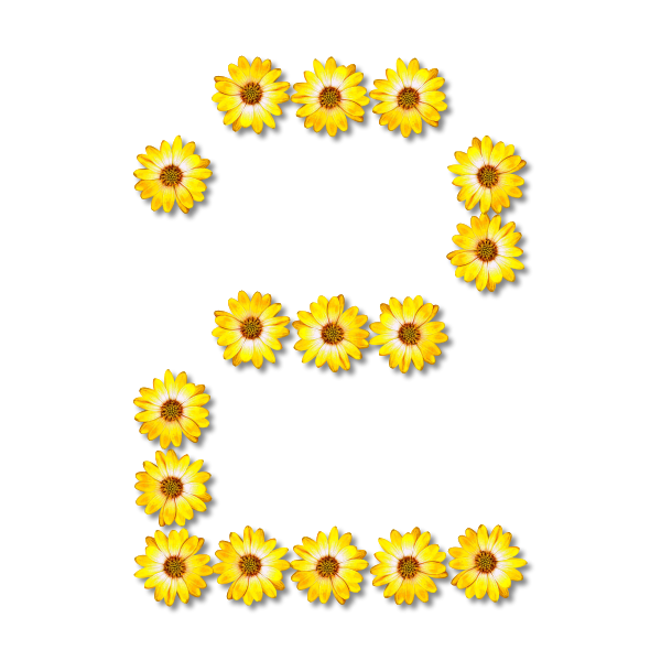 SVG Flowery number two