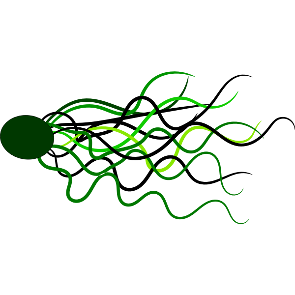 SVG Flowing lines vector image