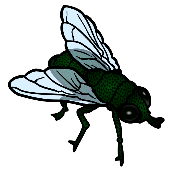 SVG Fly colored line art vector image
