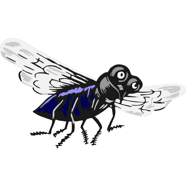 SVG Fly insect vector image