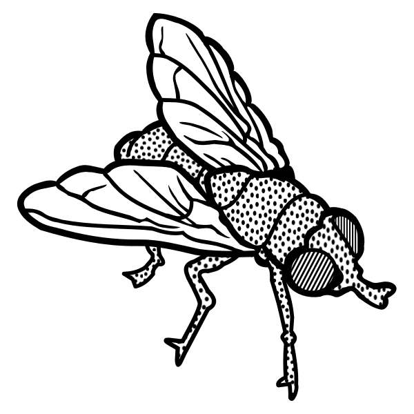 SVG Fly line art vector clip art
