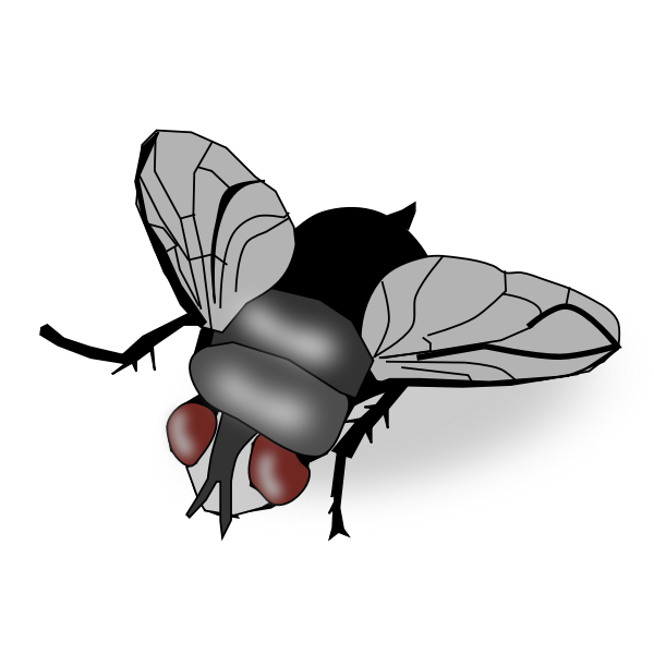 SVG Fly with big eyes