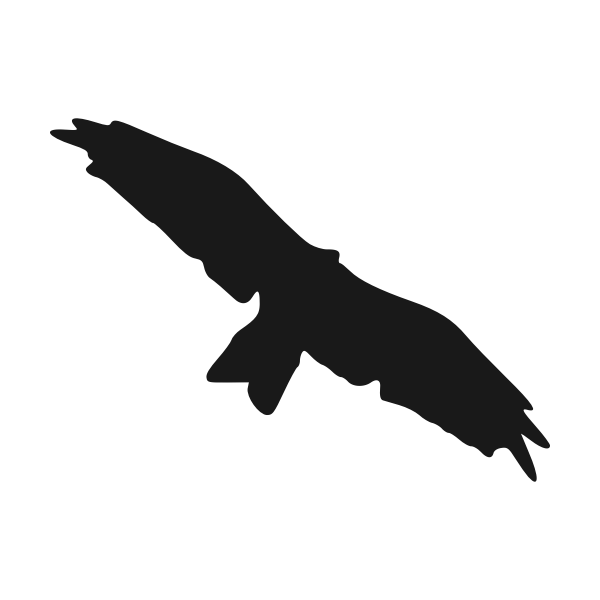 SVG Flying bird silhouette