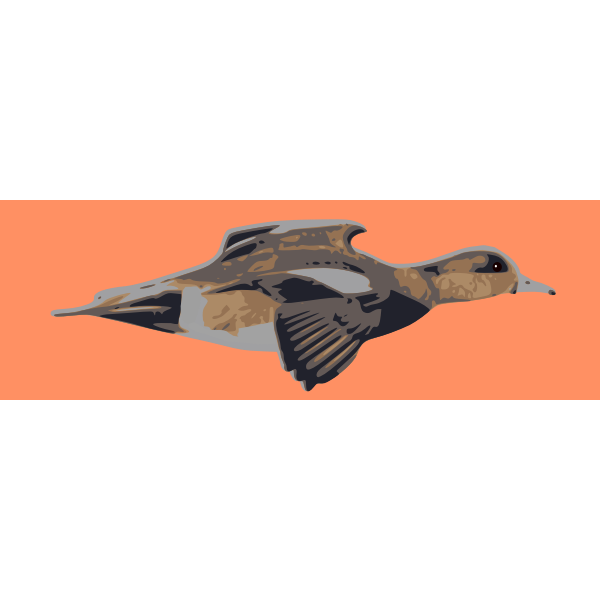 SVG Flying duck color drawing