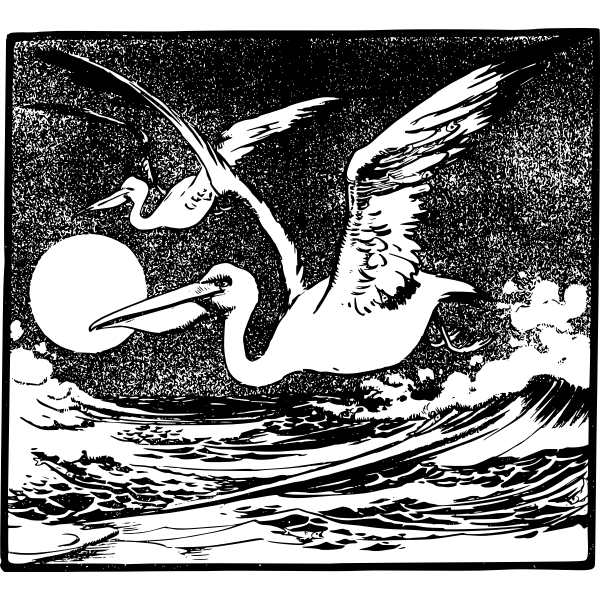 SVG Flying pelicans