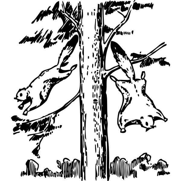 SVG flying squirrels