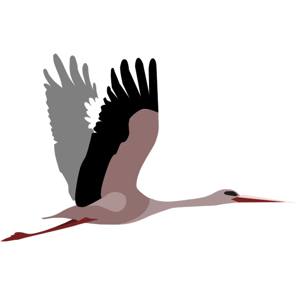 SVG Flying stork vector image
