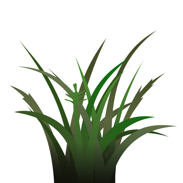 SVG Foliage banner vector image
