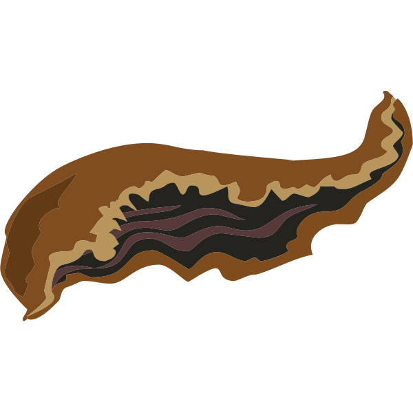 SVG food goat ear fried