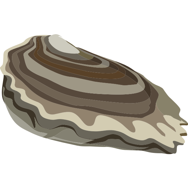 SVG food oysters ocean