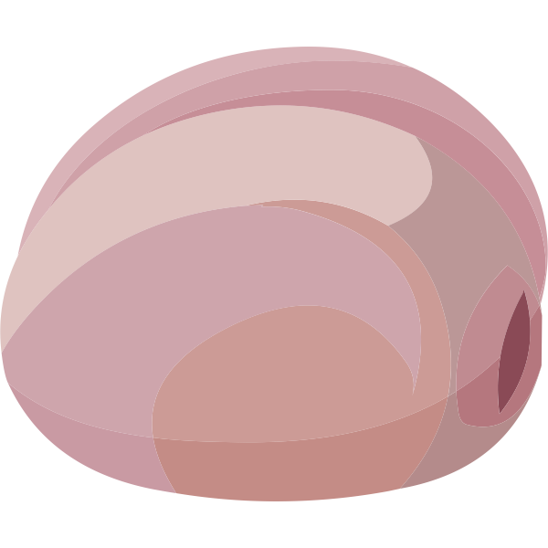 SVG food oysters prairie