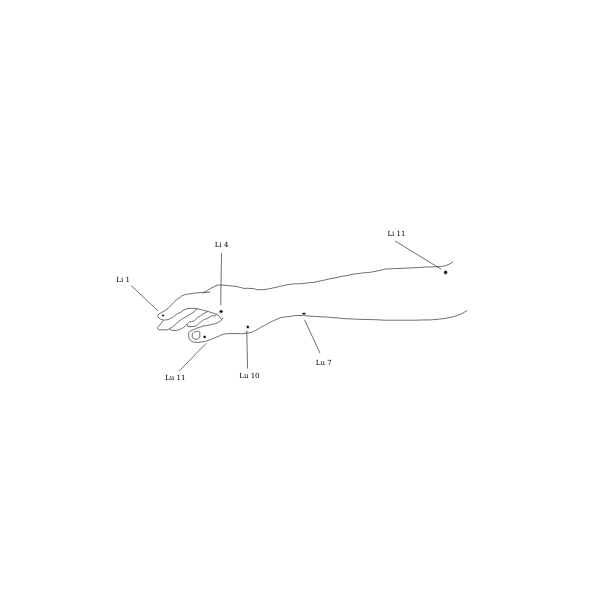 SVG Fore arm diagram vector image