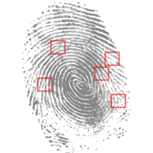 SVG Forensic detection