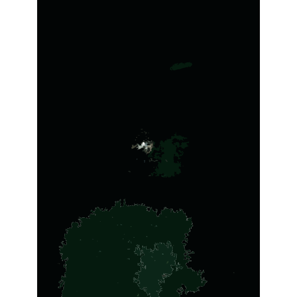 SVG Forest Impressions 2015071518