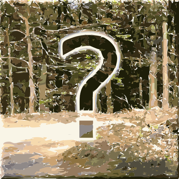 SVG Forest Impressions 3 2015071518