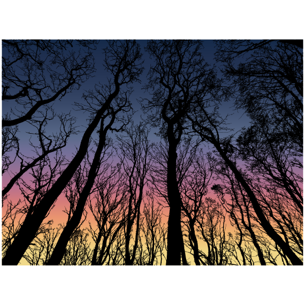 SVG Forest in the Dark Sky