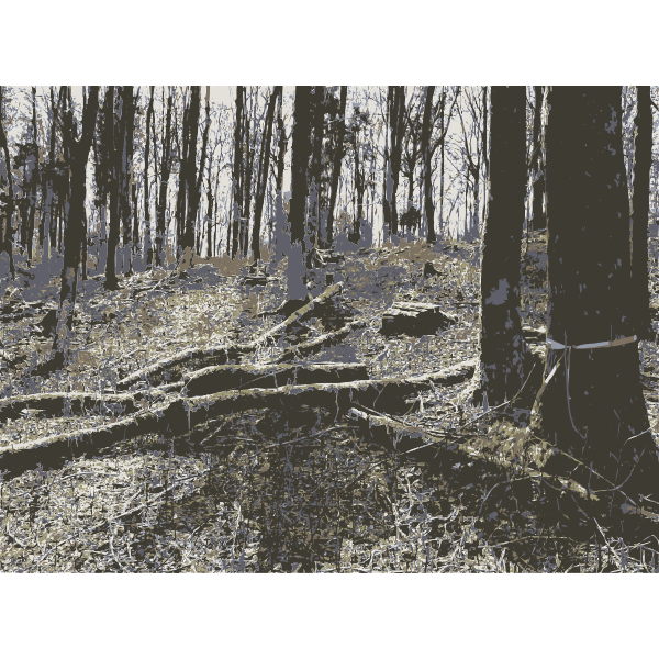 SVG Forest photos from Lichtscheid Wuppertal 4