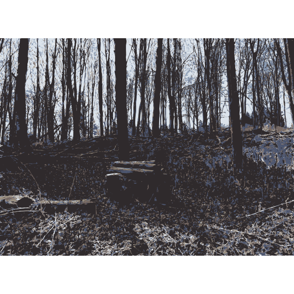SVG Forest photos from Lichtscheid Wuppertal 6