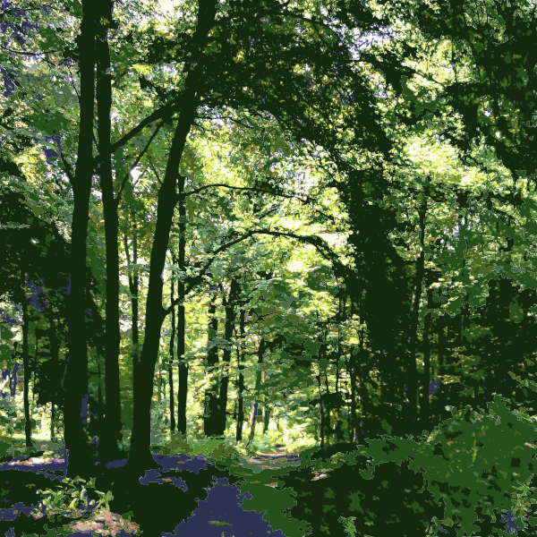 SVG Forest shortcut 2015071500