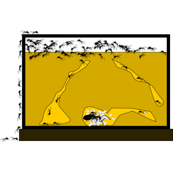 SVG Formicarium