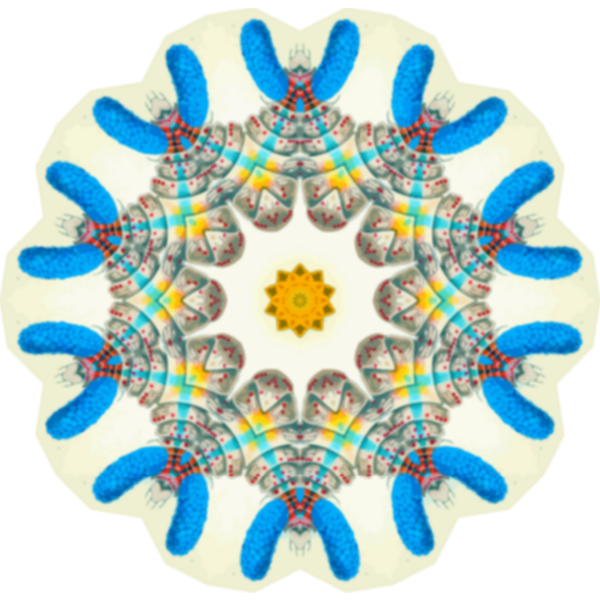 SVG Fractal pattern geometric shape