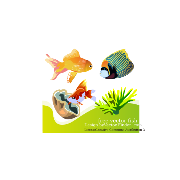 SVG Free Vector Fish