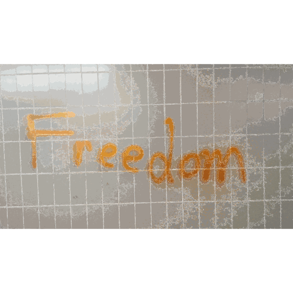 SVG Freedom Graffiti Writing 2014110421