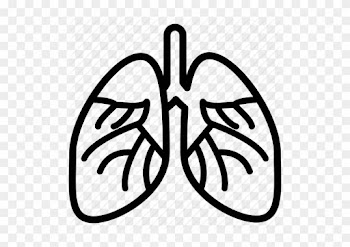 Svg Freeuse Stock Medical Healthcare By Smart - Cardiology
