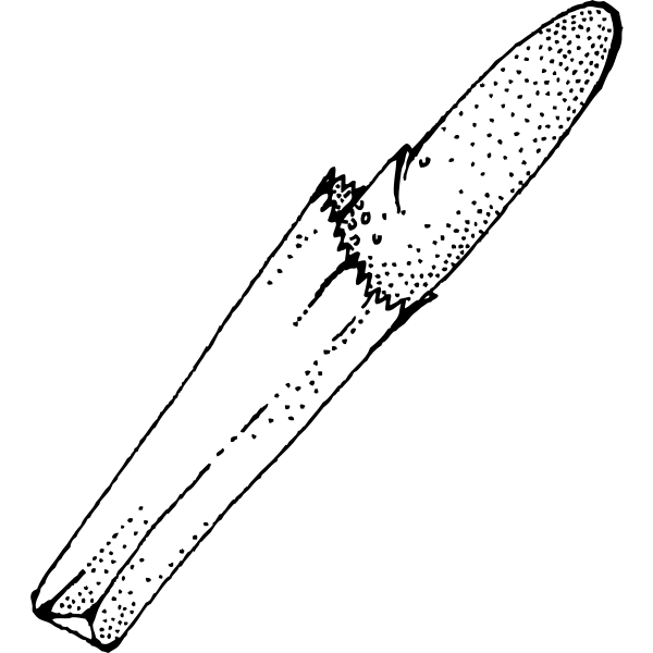 SVG French loaf vector image