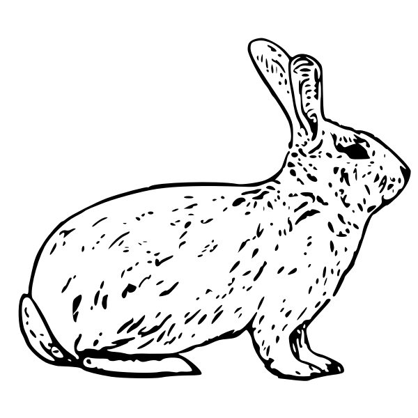 SVG French rabbit