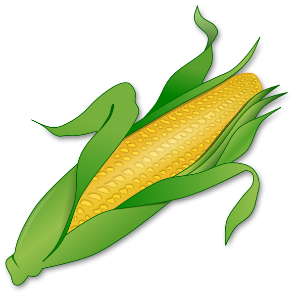 SVG Fresh corn image