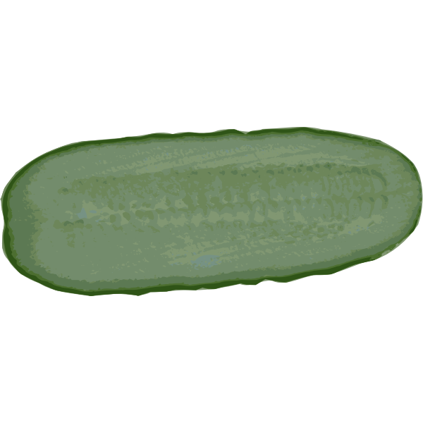 SVG Fresh cucumber slice