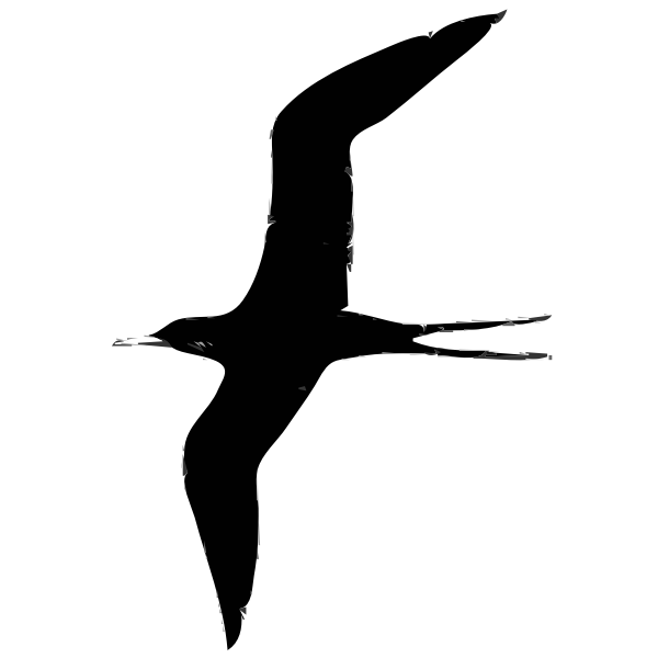 SVG Frigate bird vector illustration