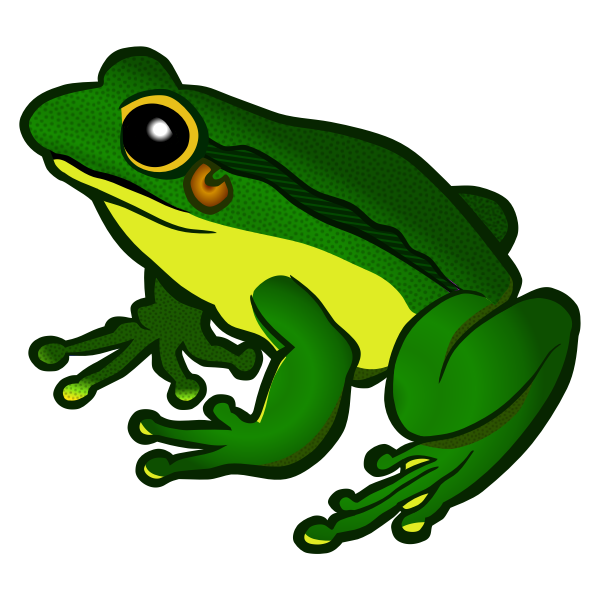 SVG Frog
